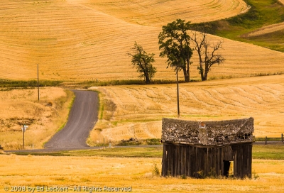 Old Shed on the Side of the Road, The Palouse, Washington