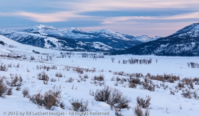Dusk in Lamar Valley, Yellowstone National Park, Wyoming
