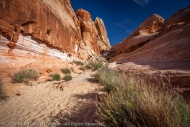 The White Dome Trail, Valley of Fire State Park, Nevada The White Dome Trail, Valley of Fire State Park, Nevada