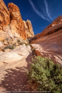 White Dome Trail, Valley of Fire State Park, Nevada White Dome Trail, Valley of Fire State Park, Nevada