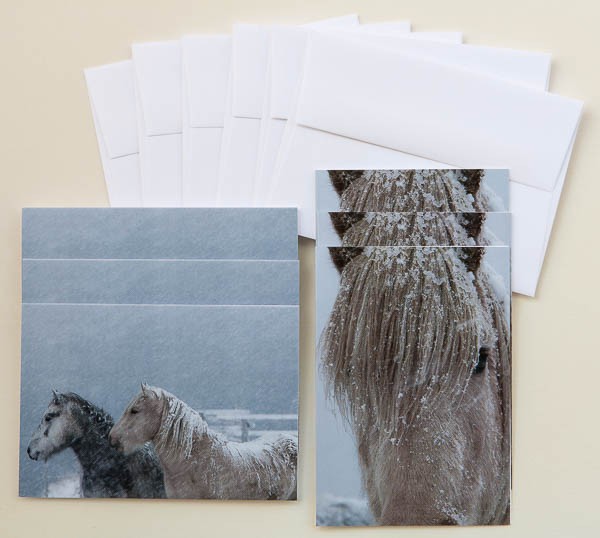 "Icelandic Horses in Snowstorm" Note Cards