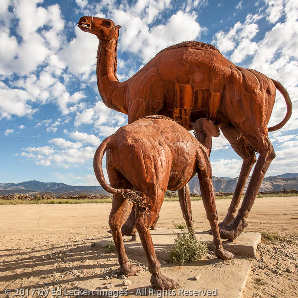 "Camelops", by Ricardo Breceda, Borrego Springs, California