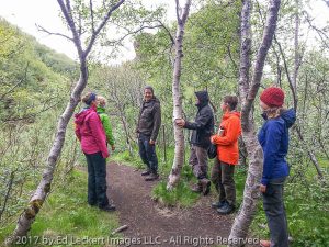 Trail Work Discussion, Þórsmörk National Park, Iceland