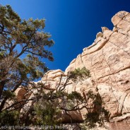 Desert Wall, Joshua Tree National Park, California