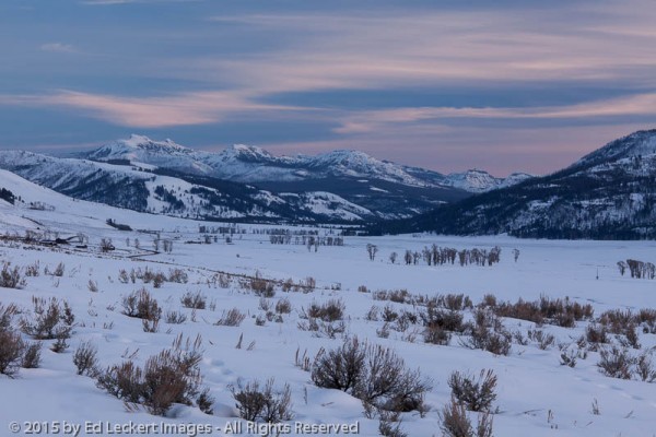 Dusk in Lamar Valley, Yellowstone National Park, Wyoming