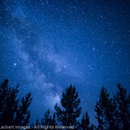 Milky Way over the Umatilla National Forest, Oregon