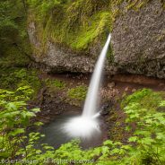 Ponytail Falls and Trail, Historic Columbia River Highway, Oregon