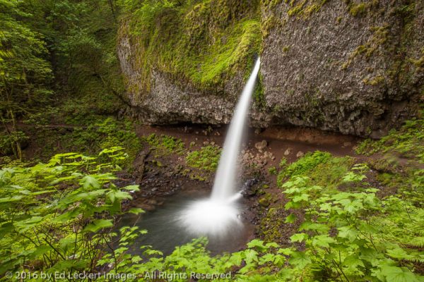 Ponytail Falls and Trail, Historic Columbia River HIghway, Oregon