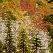 Fall Color on the Trail, Okanogan National Forest, Washington