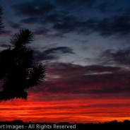 Sunrise at Jumbo Rocks, Joshua Tree National Park, California